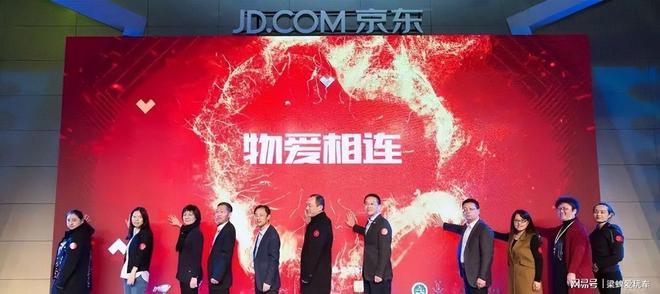 款小米、阿里注资京东出人意料pg模拟器试