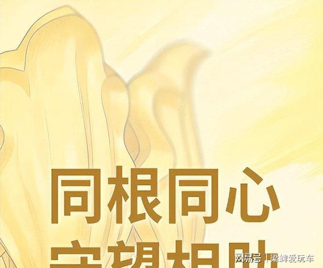 款小米、阿里注资京东出人意料pg模拟器试玩科技巨头纷纷捐(图3)